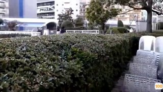 顔顔宝贝美少妇居家道具自慰，开档肉丝跳蛋塞入假屌抽插呻吟